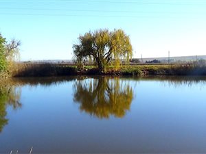 24 ha Farm in Vredendal