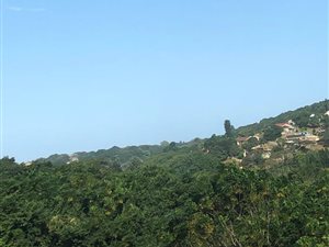 9815 m² Land available in Doon Heights