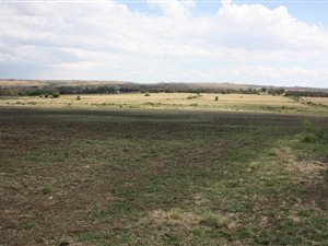 48.3 ha Farm in Zandfontein AH