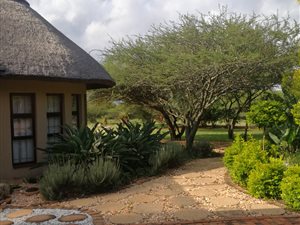 8.7 ha Farm in Roodepoort Central