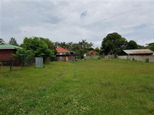 1115 m² Land available in Graskop