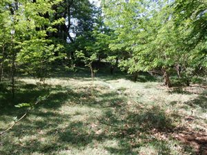 1070 m² Land available in Rhodes