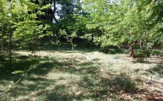 1070 m² Land available in Rhodes