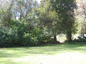 1634 m² Land available in Inanda