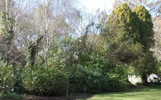 1634 m² Land available in Inanda