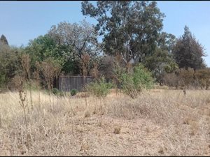 1.5 ha Land available in Glenferness AH