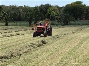 12 ha Farm in Klipkop