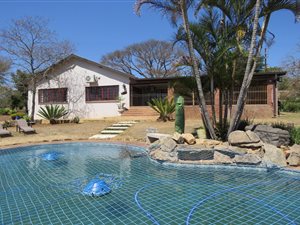 12.9 ha Smallholding in White River