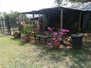 Farm in Rietspruit