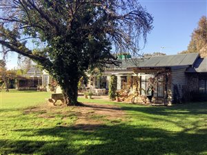 127 ha Farm in Fouriesburg