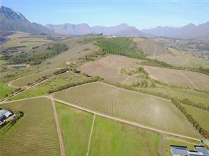4 ha Land available in Koelenhof