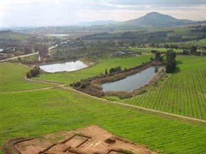 4 ha Land available in Koelenhof