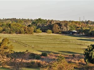 2 ha Land available in Sun Valley