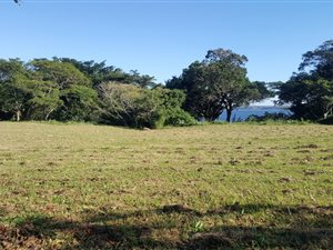 1070 m² Land available in Meerensee