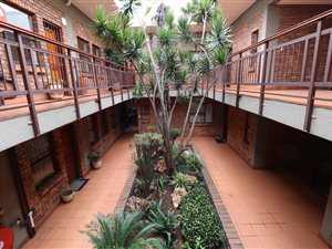 2 Bed Apartment in Nimrod Park