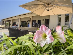 21.4 ha Farm in Hazyview