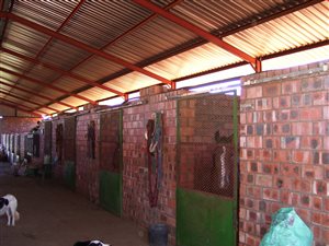 5 ha Smallholding in Ritchie