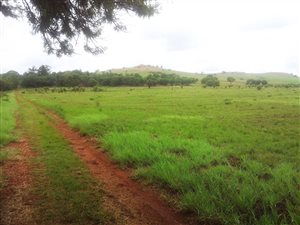 44 m² Land available in Centurion CBD