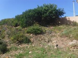 244 m² Land available in Diaz Beach