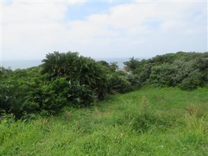 1397 m² Land available in Woodgrange