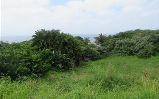1397 m² Land available in Woodgrange