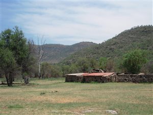 132.6 ha Farm in Hennops River