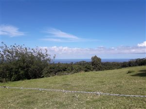 2.5 ha Land available in Chelsea