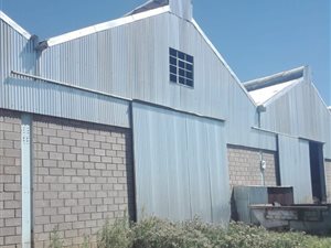 600 m² Commercial space in Bainsvlei