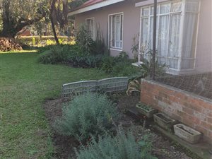 3 Bed House in Felixton