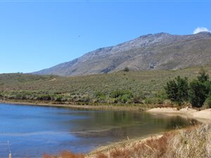 886 ha Farm in Montagu
