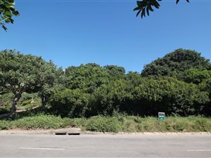 1304 m² Land available in Forest Downs