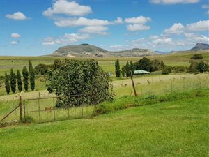 290 ha Farm in Bethlehem