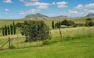 290 ha Farm in Bethlehem