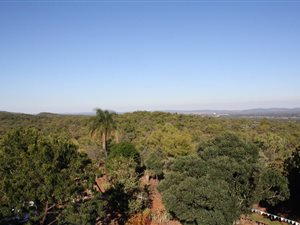 22 ha Farm in Modimolle