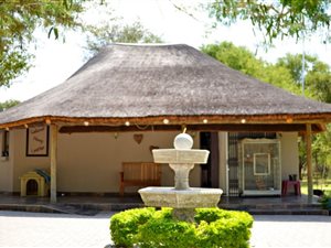 82 ha Farm in Vaalwater
