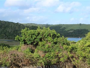 795 m² Land available in Morgans Bay