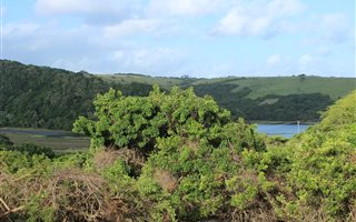 795 m² Land available in Morgans Bay