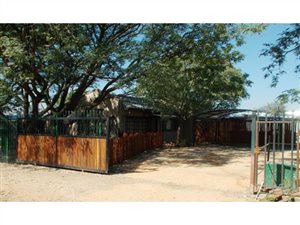 8.5 ha Farm in Bultfontein