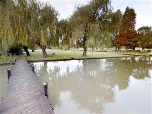 6 Bed House in Miravaal