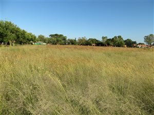 4 ha Land available in Carletonville