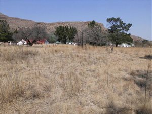 1115 m² Land available in Lady Grey