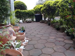 3 Bed Duplex in Mariannhill Park