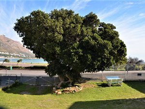 4 Bed House in Gordons Bay Central