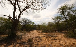 1 ha Land available in Moditlo Nature Reserve