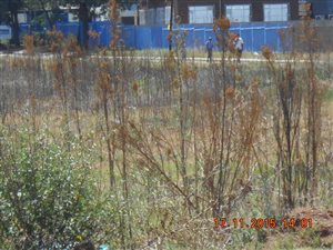 2 ha Land available in Meyerton Park