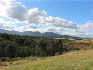 1070 m² Land available in Welgelegen