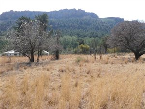 1115 m² Land available in Lady Grey