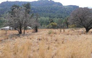 1115 m² Land available in Lady Grey