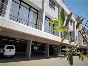 2 Bed Apartment in Menlo Park
