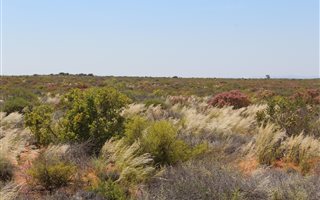 7000 ha Farm in Vredendal